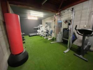 Fitness centrum a/nebo fitness zařízení v ubytování Heidi Guest House