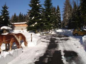 Ferienwohnung am Spitzberg en invierno