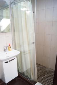 a bathroom with a shower and a sink at Rosinka in Ukrayinka