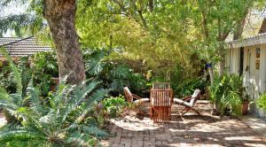 a patio with two chairs and a tree at Kasane Self Catering in Kasane