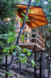 a tree house with a deck in the woods at Secret do Gerês in Vieira do Minho