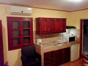 a kitchen with wooden cabinets and a sink and a microwave at Sunrise Apartments in Palekastron
