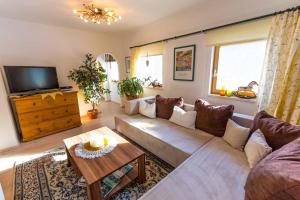 ein Wohnzimmer mit einem Sofa und einem TV in der Unterkunft Ferienwohnung Reitgestüt Waldeck in Saalfelden am Steinernen Meer