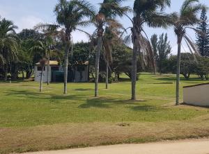 een groep palmbomen in een park bij Fairway cottage in Port Edward