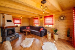 a living room with a couch and a fireplace at Widokowa Chata Istebna Trójwieś in Istebna