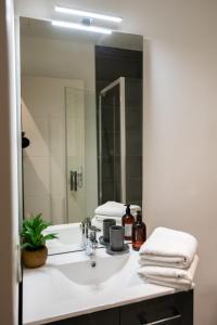 y baño con lavabo y espejo. en Le St Germain - Pétillant studio décoré avec goût en centre-ville, en Lyon