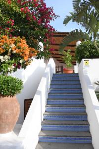 a stairway with flowers and potted plants at Pedra Residence in Stromboli