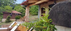 Zahrada ubytování DIMITRA's VILLAS
