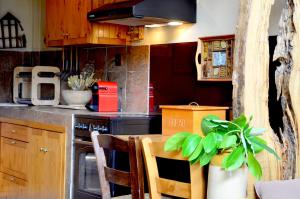 Kuchyň nebo kuchyňský kout v ubytování DIMITRA's VILLAS