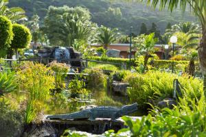 an alligator in a pond in a garden at Hotel Punta Sur in Tarifa