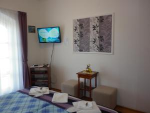 TV a/nebo společenská místnost v ubytování Manor Villa