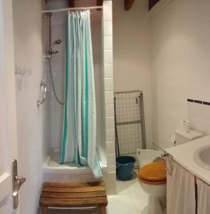 a bathroom with a shower and a toilet and a sink at La Sérénité in Auriac-de-Bourzac