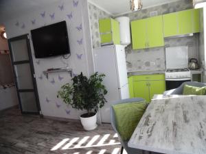 uma cozinha com armários verdes e uma mesa com uma planta em Apartment WAVE,в центре! em Khmelʼnytsʼkyy