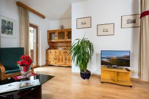TV a/nebo společenská místnost v ubytování Residence Weiss