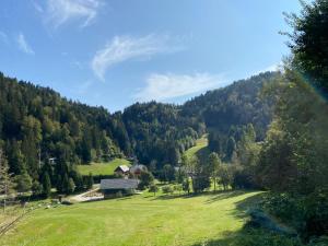 a green field with a house in the middle of a mountain at Apartma Jure in Zgornje Gorje +11 photos