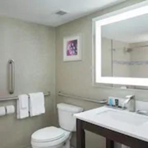 a bathroom with a toilet and a sink and a mirror at Crowne Plaza Chicago SW - Burr Ridge, an IHG Hotel in Burr Ridge