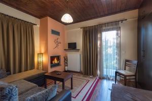 a living room with a couch and a fireplace at Hotel Oreades in Elati