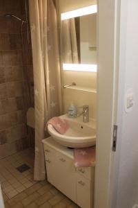 a bathroom with a sink and a shower at Deichblick Süderhafen in Nordstrand