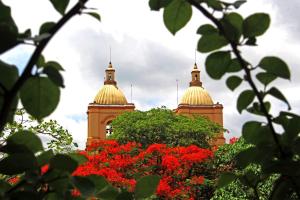 a building with two towers with red flowers at Del Parque Hotel in Corozal