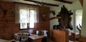 a living room with a table and a bear head on the wall at DOMEK ROZTOCZE in Zwierzyniec