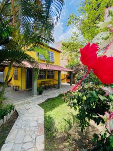 a yellow house with a red flower in front of it at Ô Hostel in Porto De Galinhas