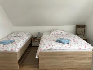 a bedroom with two beds and a night stand at Ferienwohnung mit Brockenblick in Langenstein
