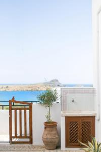 a plant in a pot sitting next to a building at Sea View Villa Thea 3 in Rhodes Lindos in Lindos