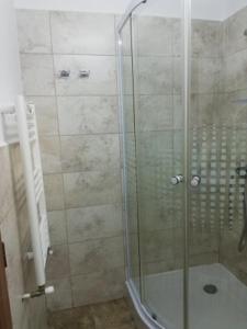 La salle de bains est pourvue d'une douche avec une porte en verre. dans l'établissement Cara Studio cu parcare - Cluj-Napoca zona Republicii, à Cluj-Napoca
