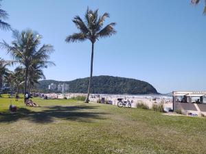 a palm tree in a park next to the beach at Casa Nova Bertioga - SESC - Vista Linda - Riviera - Prainha Branca in Bertioga
