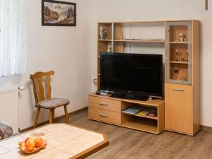 a living room with a television on a wooden entertainment center at Scintillating Apartment in Wienrode near City Centre in Wienrode