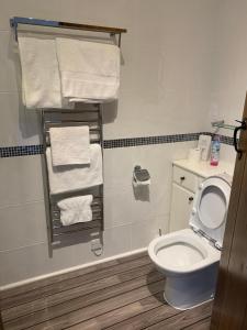 a bathroom with a white toilet and towels at The Reindeer Retreat Daisy Double in Carmarthen