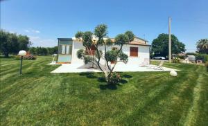 a small house with a tree in the yard at Villetta al mare Scanzano Jonico in Scanzano