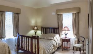 1 dormitorio con 1 cama y 2 ventanas en Moate Lodge, en Athy