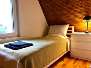 ein Schlafzimmer mit einem Bett mit Kissen und einem Fenster in der Unterkunft Dom Blisko Natury Osłonin in Osłonin