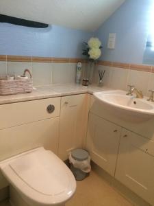 een badkamer met een toilet en een wastafel bij 1 The Mews Cottages in Ledbury