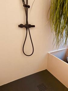 a hanger on the corner of a wall with a plant at Container Suite in Terrasini