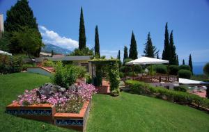 un jardin avec des fleurs roses dans une cour dans l'établissement Felix Residence, à Mousata