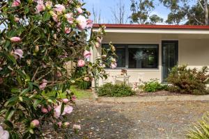 a house with a flowering tree in front of it at Karoola Cottage Self Contained in Lilydale +16 photos