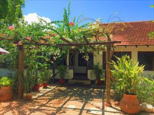Jardin de l'établissement Mediterraneo Boutique Hotel