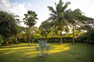 Jardin de l'établissement Mediterraneo Boutique Hotel