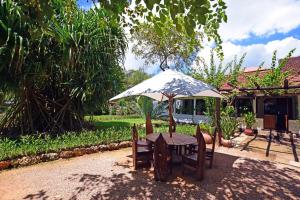 Jardin de l'établissement Mediterraneo Boutique Hotel