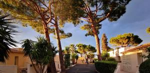 une rue dans une banlieue avec des arbres et des maisons dans l'établissement Résidence San Pellegrino, à Folelli