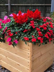 una plantadora de madera con flores rojas en ella en Cosy Log Cabin - The Dookit - Fife, en Markinch