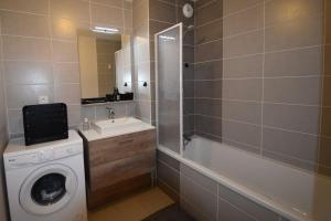 a bathroom with a washing machine and a sink at VAUJANYLOCATIONS - Domaine du Pâtre in Vaujany