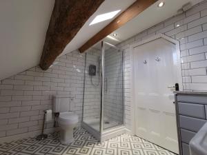 a bathroom with a toilet and a glass shower at Eldon Row - Stylish Character Apartments - Central Location 1 & 2 bed available in Dolgellau +30 photos