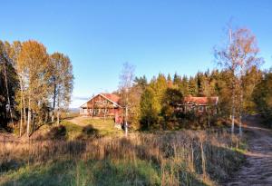 een huis op een heuvel midden in een bos bij Stuga Glaskogen in Glava