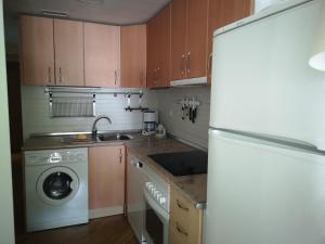 a kitchen with a washing machine and a refrigerator at Apartamentos Aguas Limpias in Sallent de Gállego