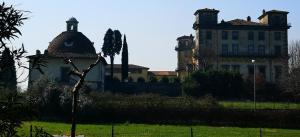Vonkajšia záhrada v ubytovaní Villa Artemisia