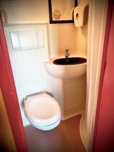 La petite salle de bains est pourvue de toilettes et d'un lavabo. dans l'établissement Première Classe Perpignan Nord, à Rivesaltes
