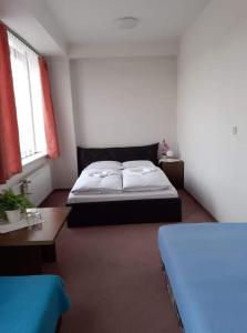 Postel nebo postele na pokoji v ubytování Hotel Apollo